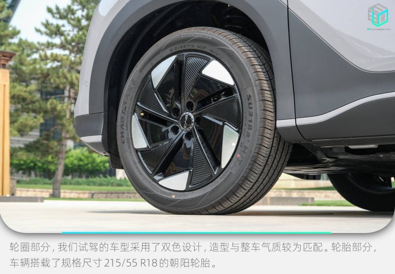超清太阳表面图像揭开“磁帘”秘密
